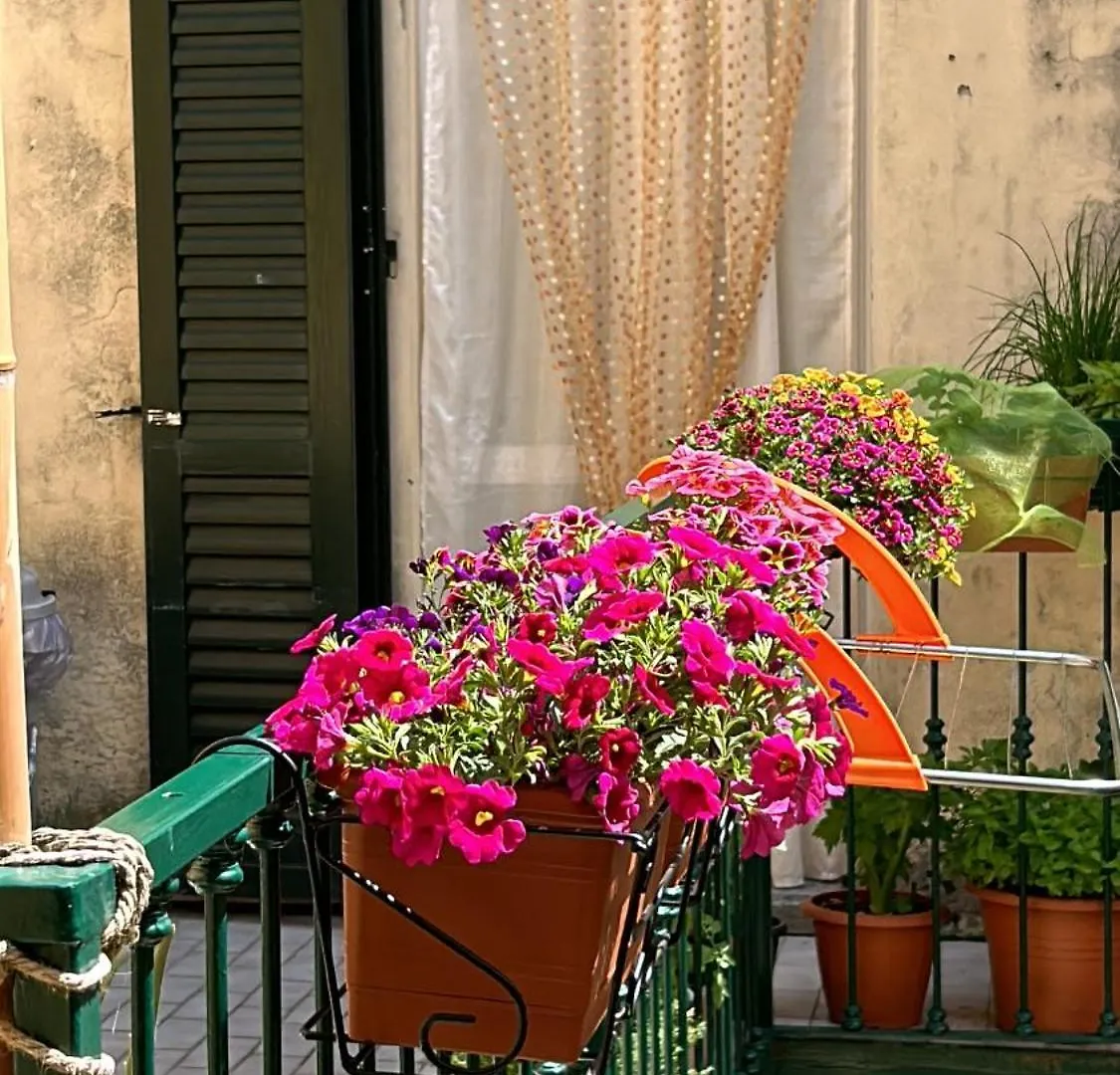 Apartment The Green Nest Olginate Italy